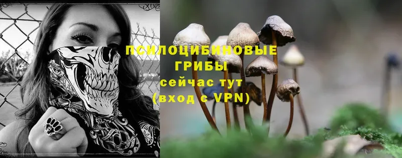 KRAKEN tor  Петропавловск-Камчатский  Псилоцибиновые грибы Magic Shrooms 